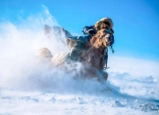 九游体育官方入口-蒙古队选手表现出色，勇往直前的简单介绍