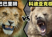 九游体育网页版-包含强强对抗引燃战火，谁能笑到最后的词条