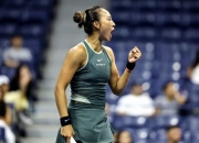 九游体育网页版-包含操控比赛！精湛战术领先对手，晋级永不退却的词条