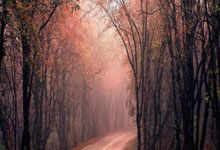 九游体育网页版入口-曼城连续胜利，积分榜排名大幅提升——蓝月亮的荣耀之路