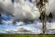 九游体育网页版入口-北京挺进总决赛，成就传奇之旅