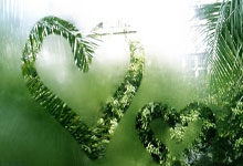 九游体育官网入口-拉脱维亚新星闪耀奥运：女子撑杆跳金牌背后的坚持与荣耀