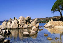 九游体育网页版登录入口-尼斯战胜对手，稳定排名法甲前六，法甲尼斯对阵马赛