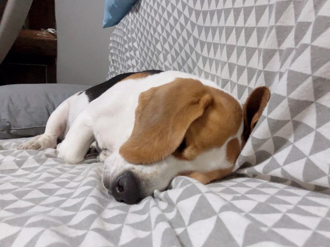 体力透支,球员疲劳状态表现平庸 体力透支,球员疲劳状态表现平庸