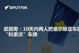 科索沃选手大放异彩,金牌人见人爱的简单介绍 科索沃选手大放异彩,金牌人见人爱的简单介绍