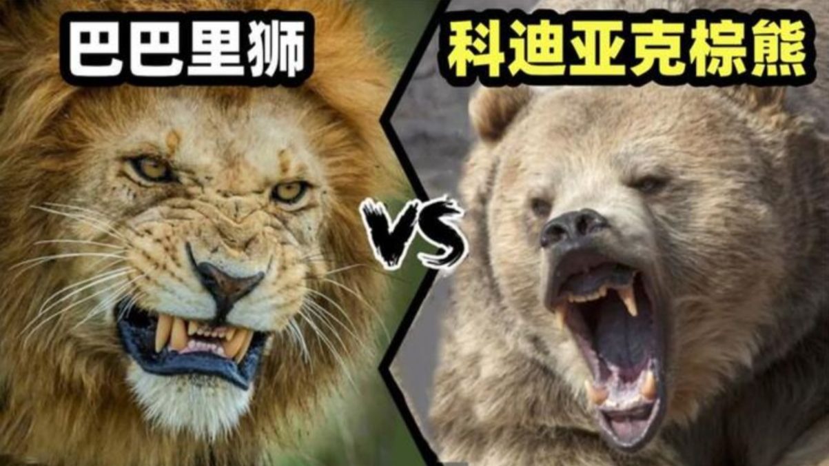 包含强强对抗引燃战火,谁能笑到最后的词条 包含强强对抗引燃战火,谁能笑到最后的词条