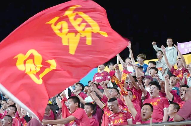 赛场上的激烈对抗，球迷欢呼声不断